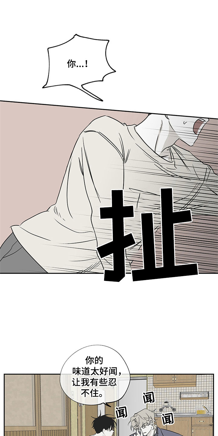 海之边境漫画在线看漫画,第10话2图