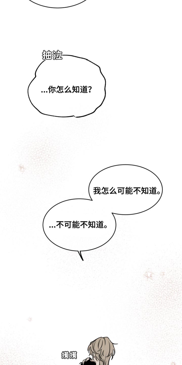 海之边境漫画免费观看漫画,第158话2图