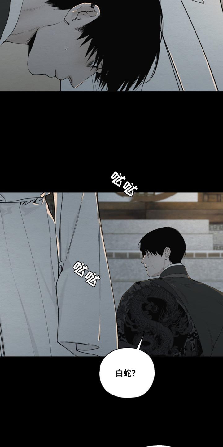 龙魂蛇影漫画,第18话2图