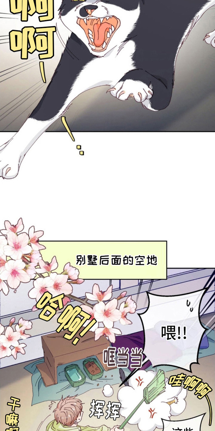 吃掉那只小白兔漫画,第1话1图