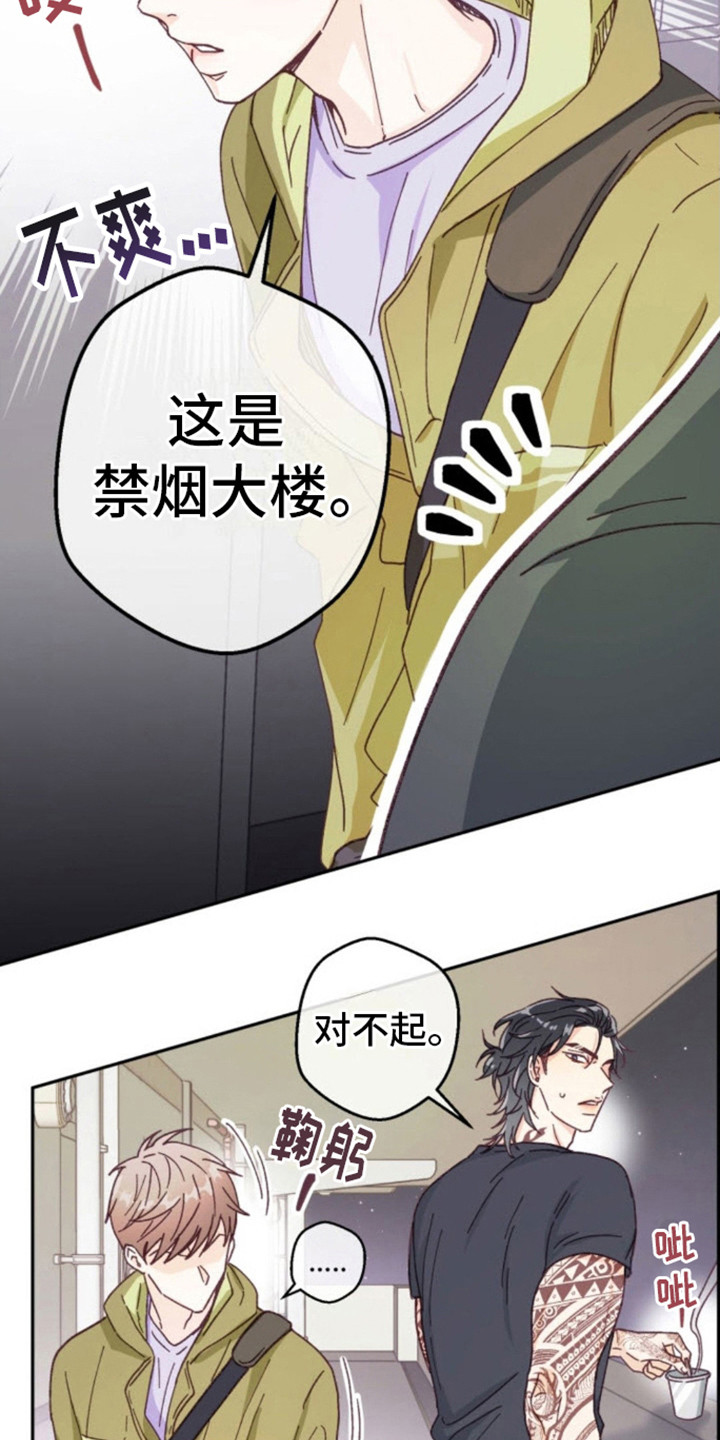 吃掉小白兔的小说漫画,第2话2图