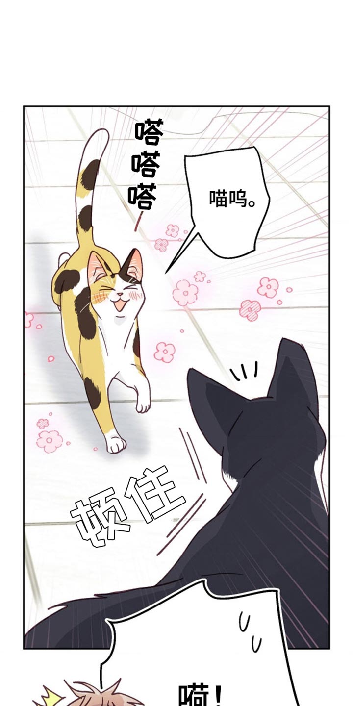 吃掉小可爱漫画,第64话1图