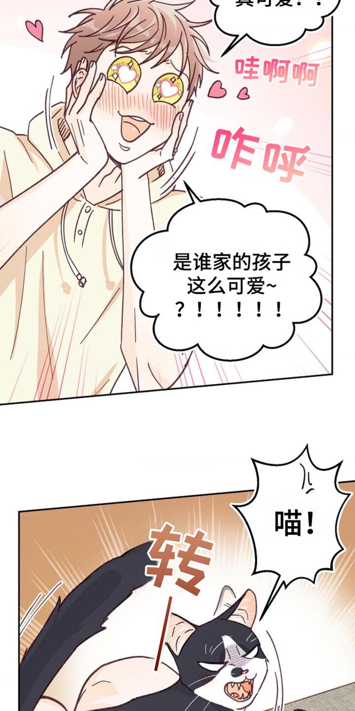 吃掉小孩的狗后续漫画,第73话1图