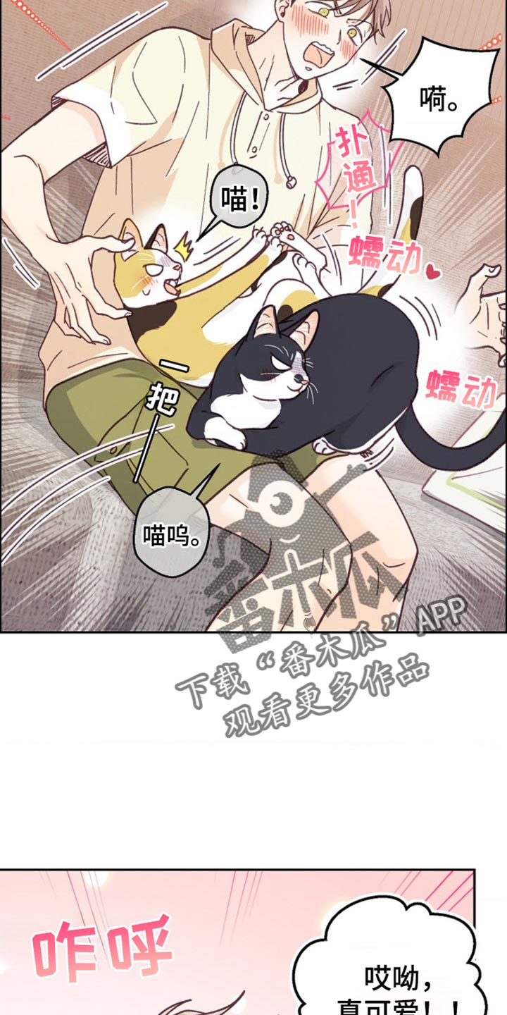 吃掉小可爱漫画,第73话2图