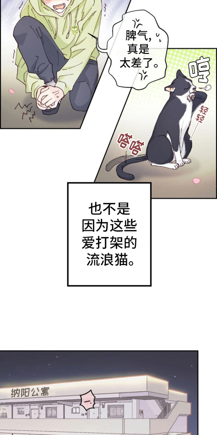 吃掉那只小白兔漫画,第1话1图