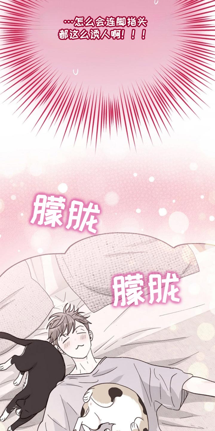 吃掉小鱼漫画,第70话1图