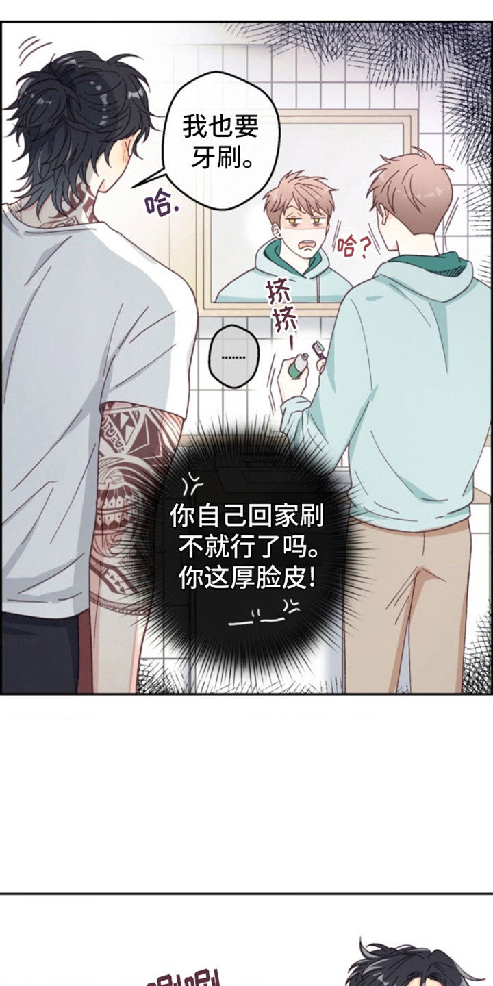 吃掉小动物漫画,第13话1图