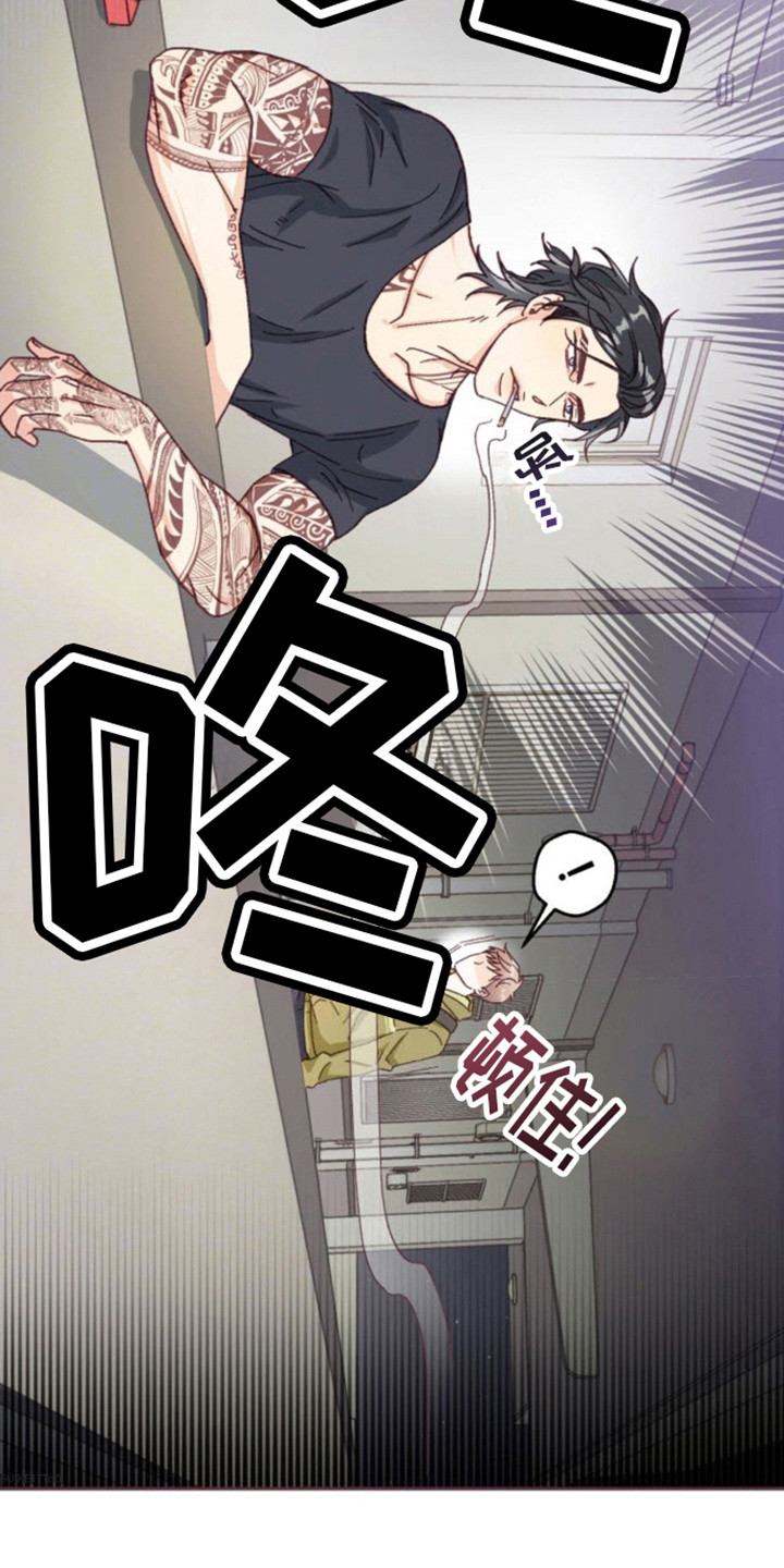 吃掉小白兔的小说漫画,第2话2图