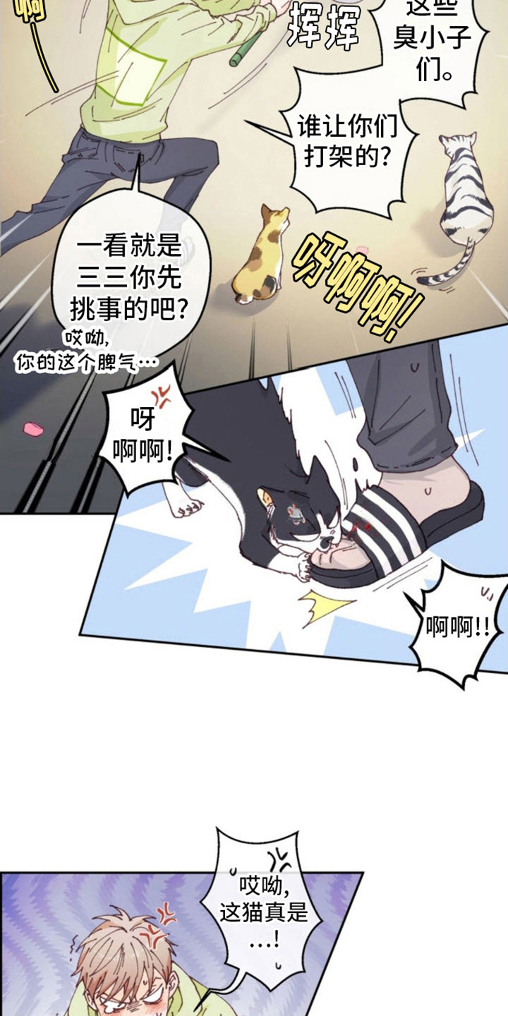 吃掉那只小白兔漫画,第1话2图