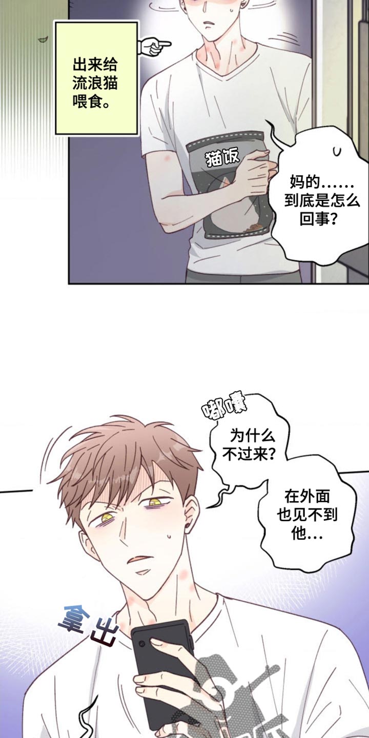 吃掉小猫猫网页漫画,第26话1图