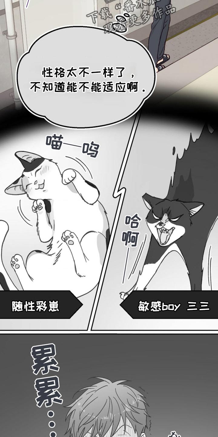 吃掉小猫猫网页版在线玩漫画,第54话2图