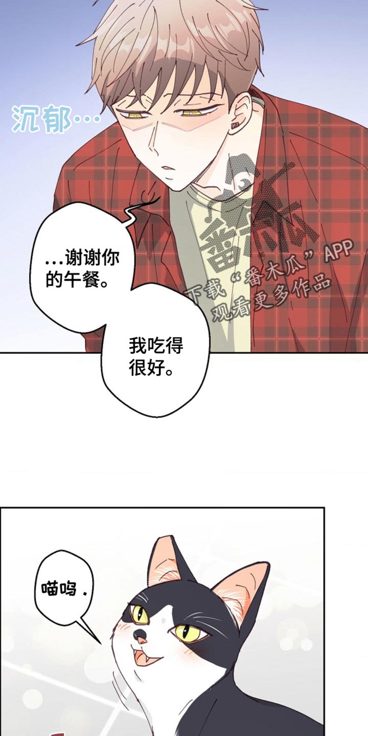 吃掉小猫猫网页漫画,第35话2图