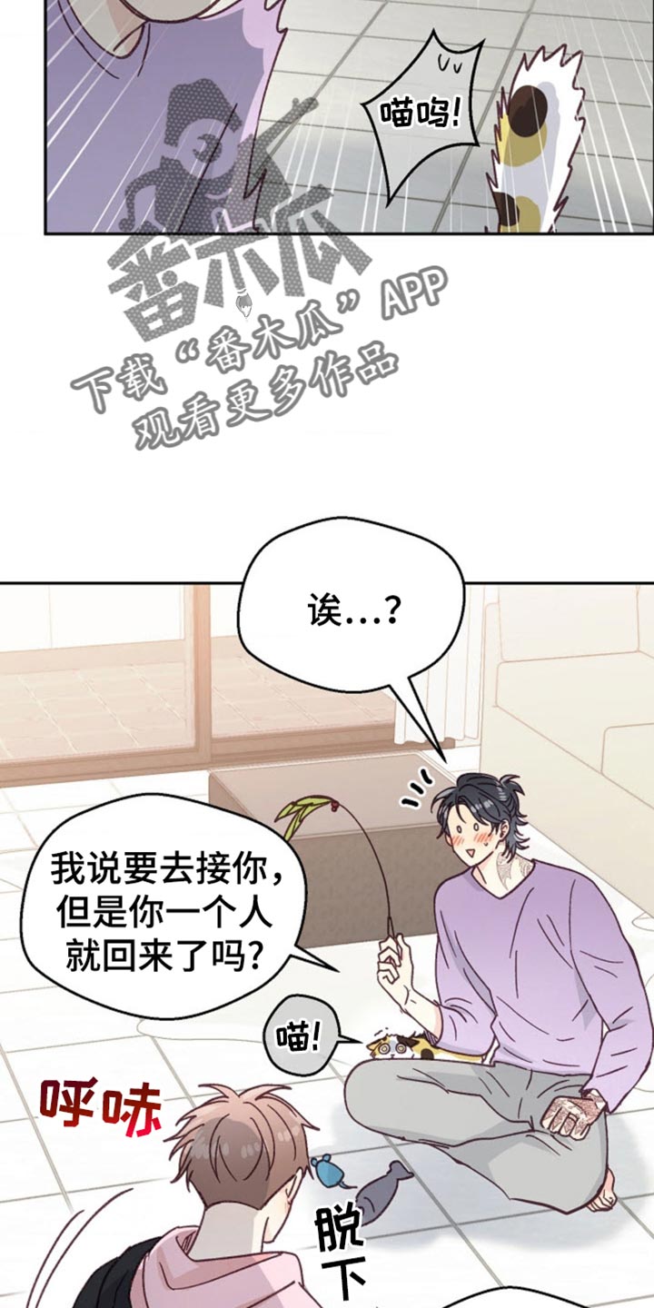 吃掉小鹿乃网页版漫画,第53话1图