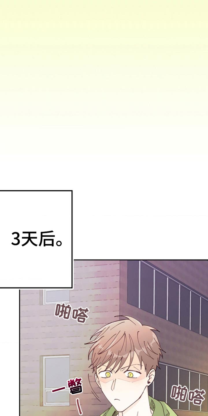 吃掉小白兔在线阅读漫画,第36话1图