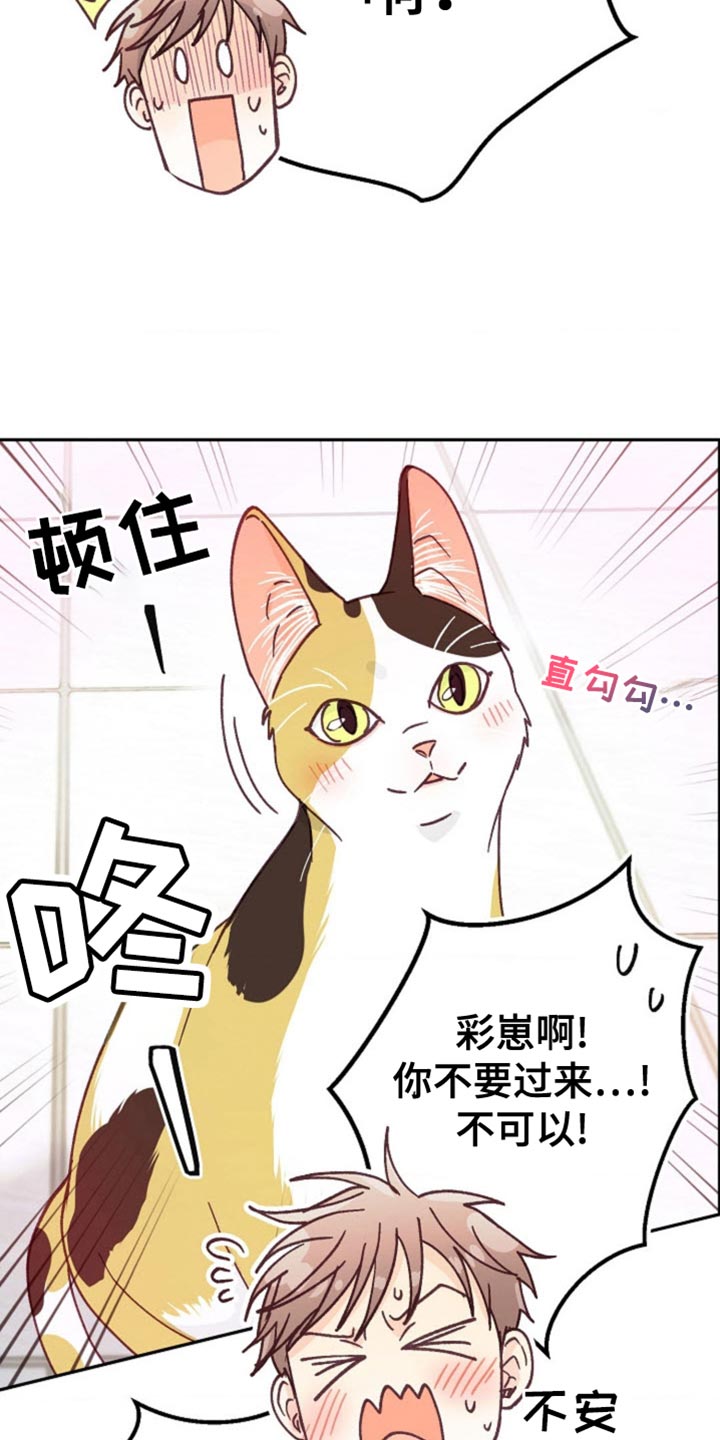 吃掉小可爱漫画,第64话2图