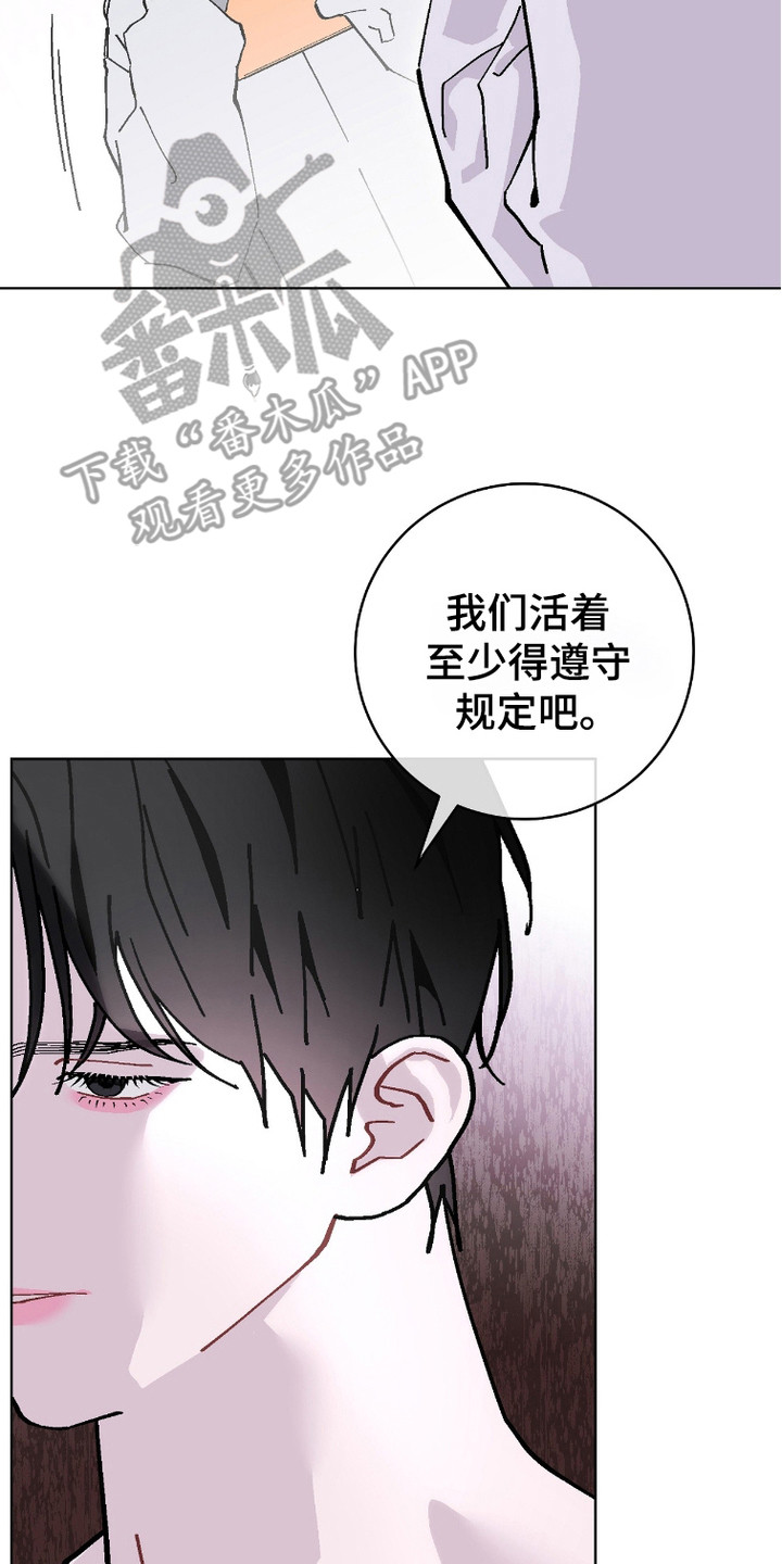 被偏爱的瑕疵漫画,第8话2图