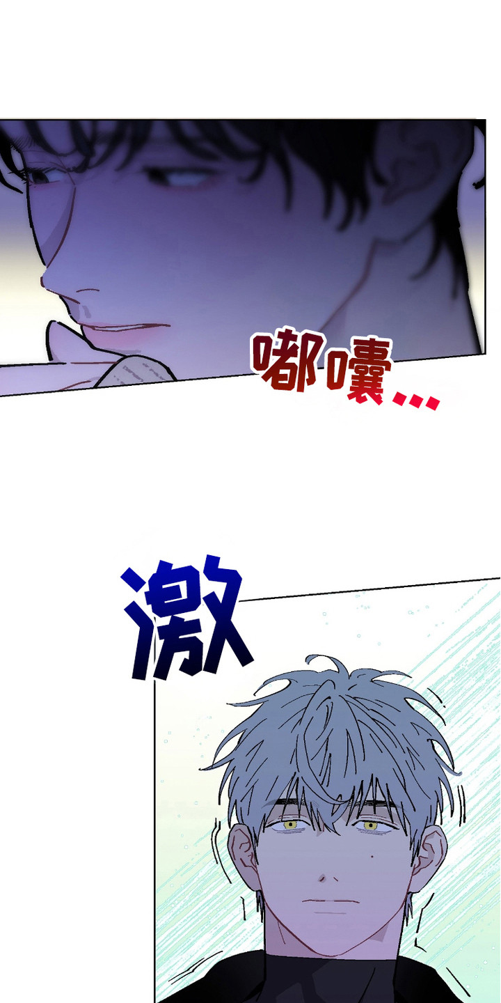 被偏爱的瑕疵漫画漫画,第16话1图