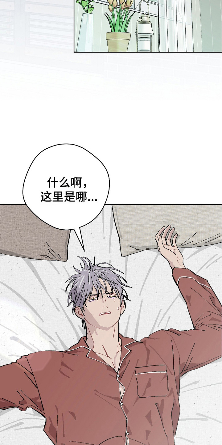 被偏爱的瑕疵漫画漫画,第12话1图