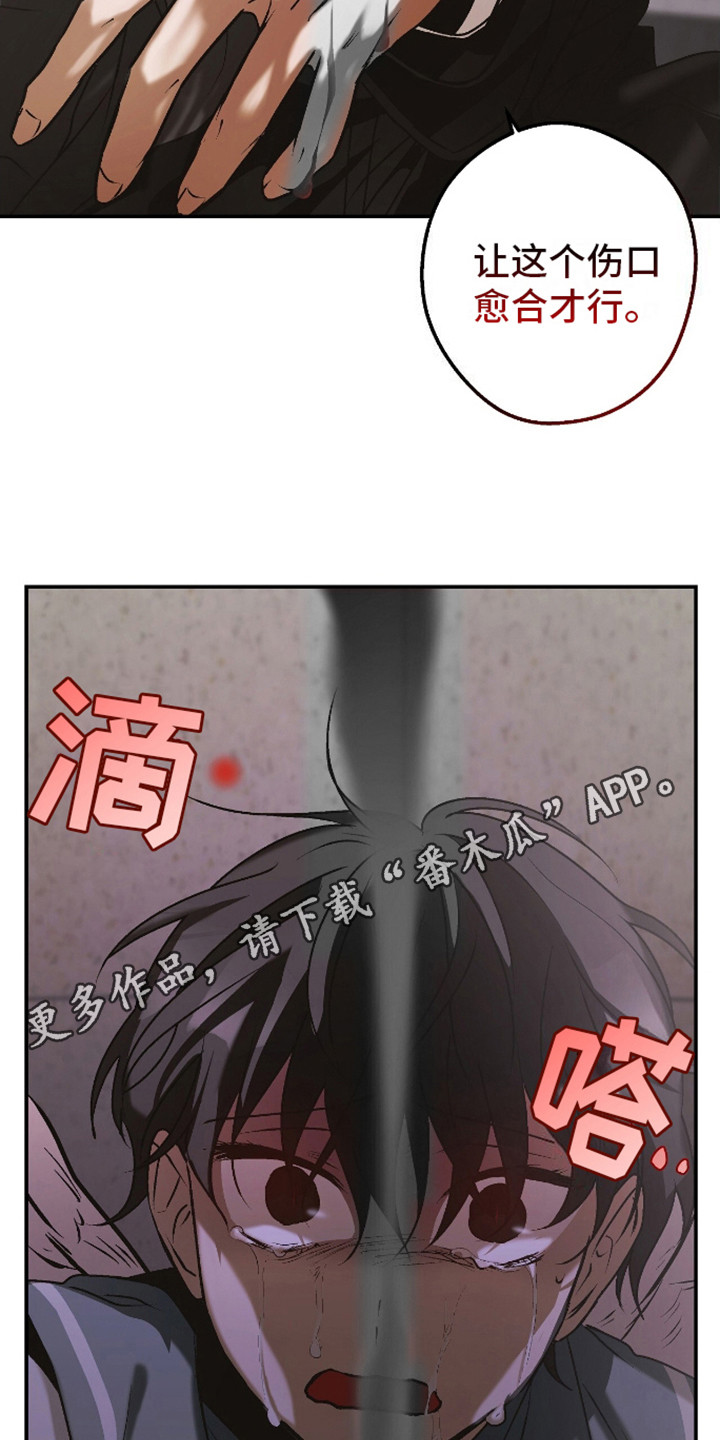 治愈的歌声漫画,第17话1图