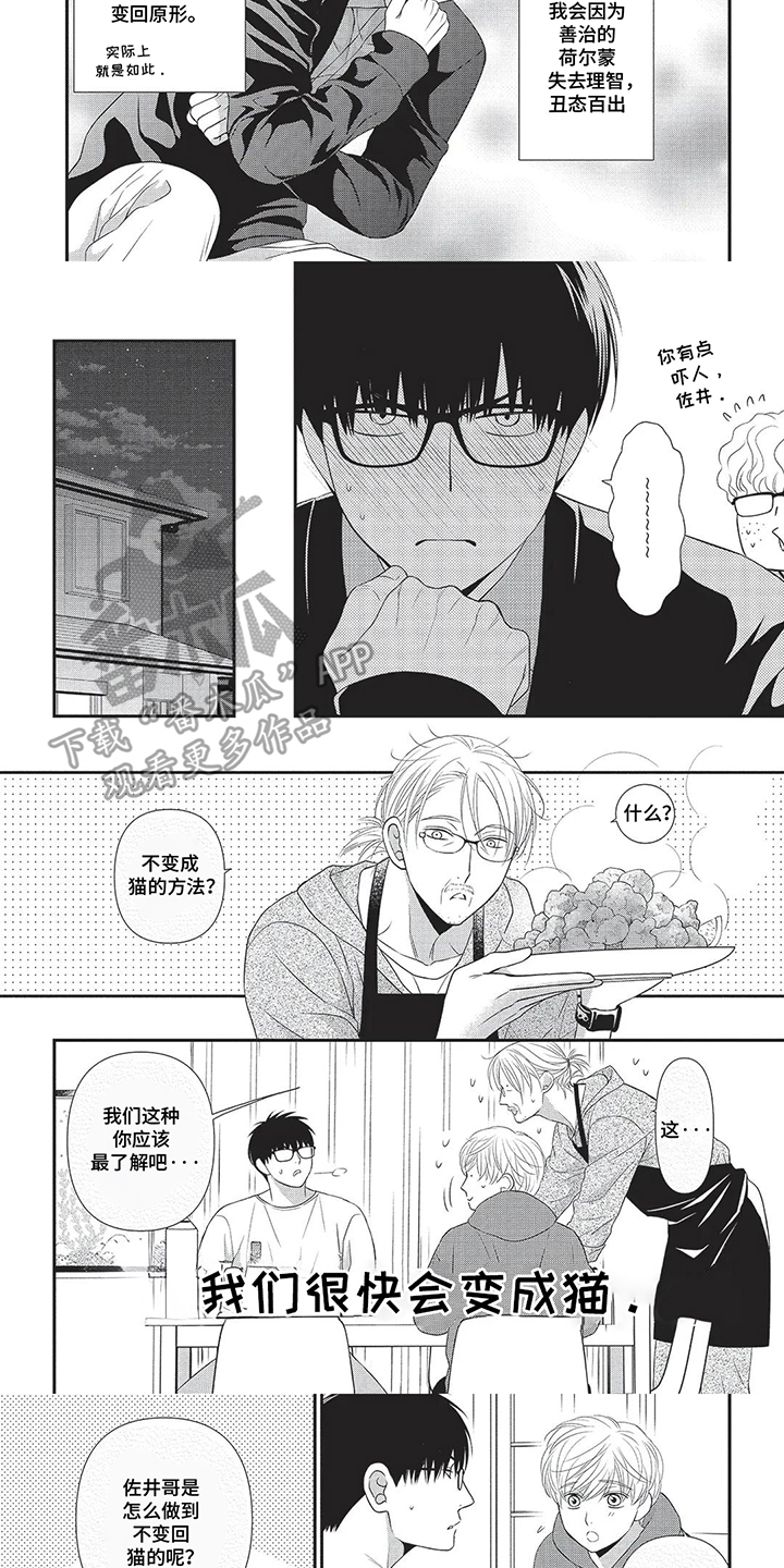 亲爱的喵喵漫画,第4话1图