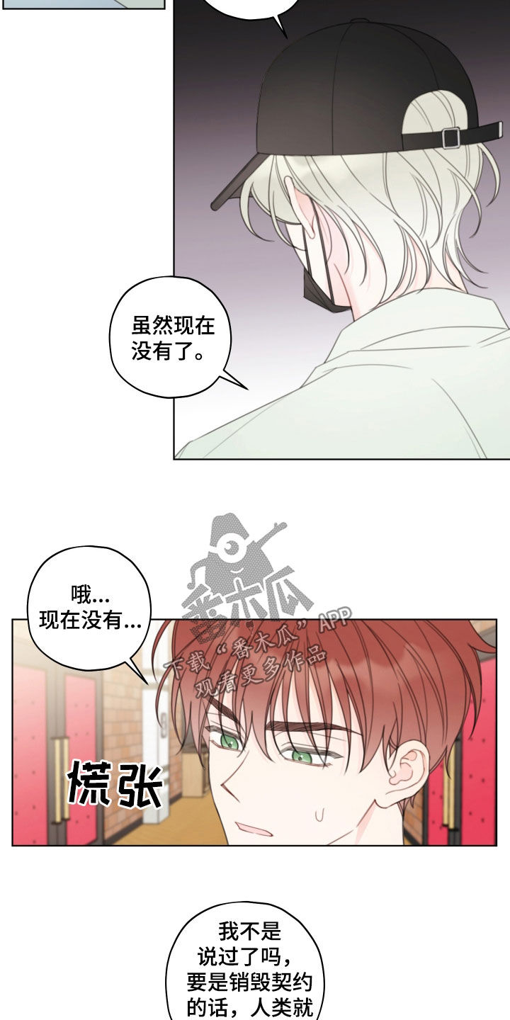 被契约者是什么意思漫画,第53话1图