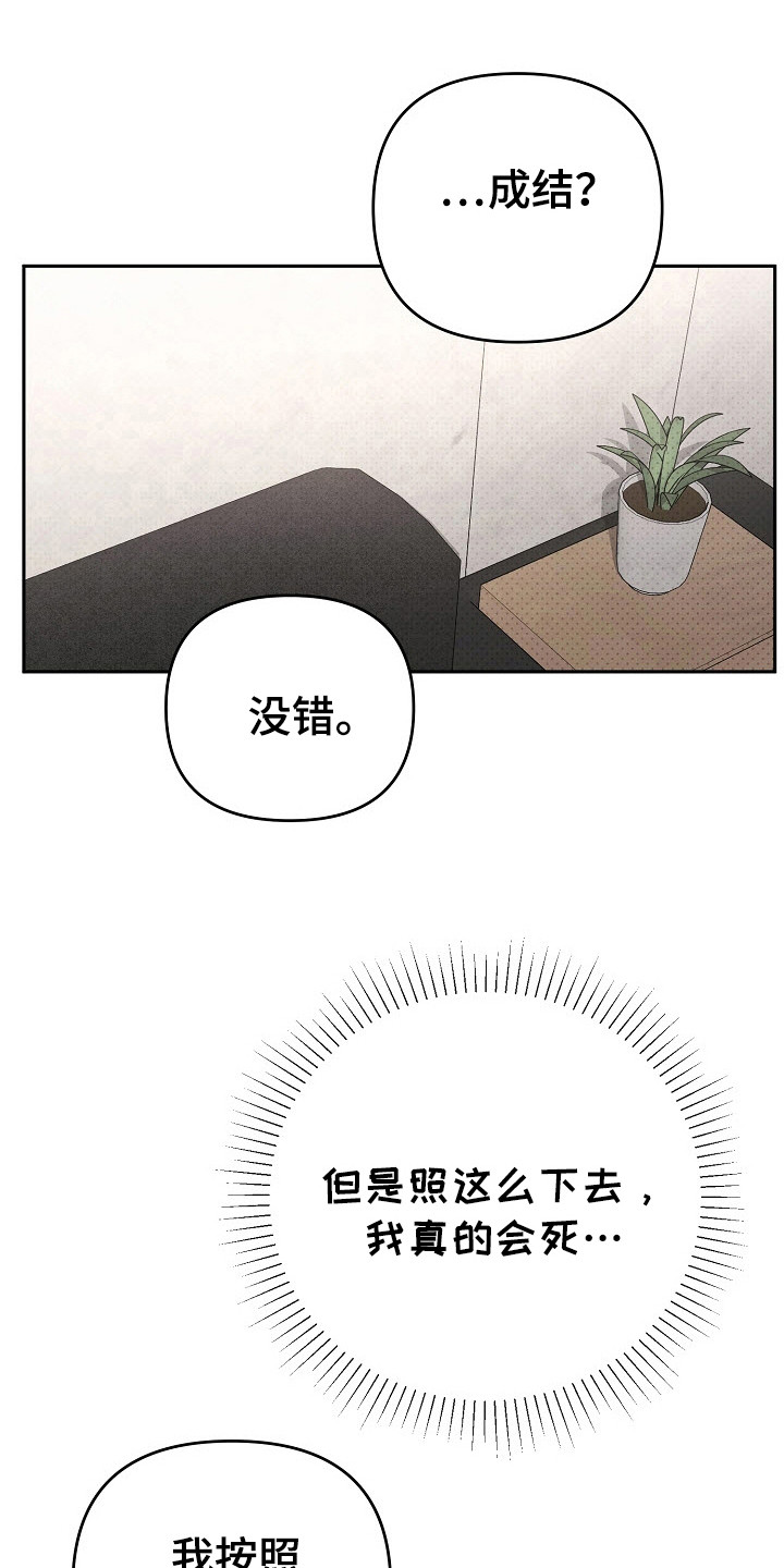 遇见浪漫的他漫画,第60话1图