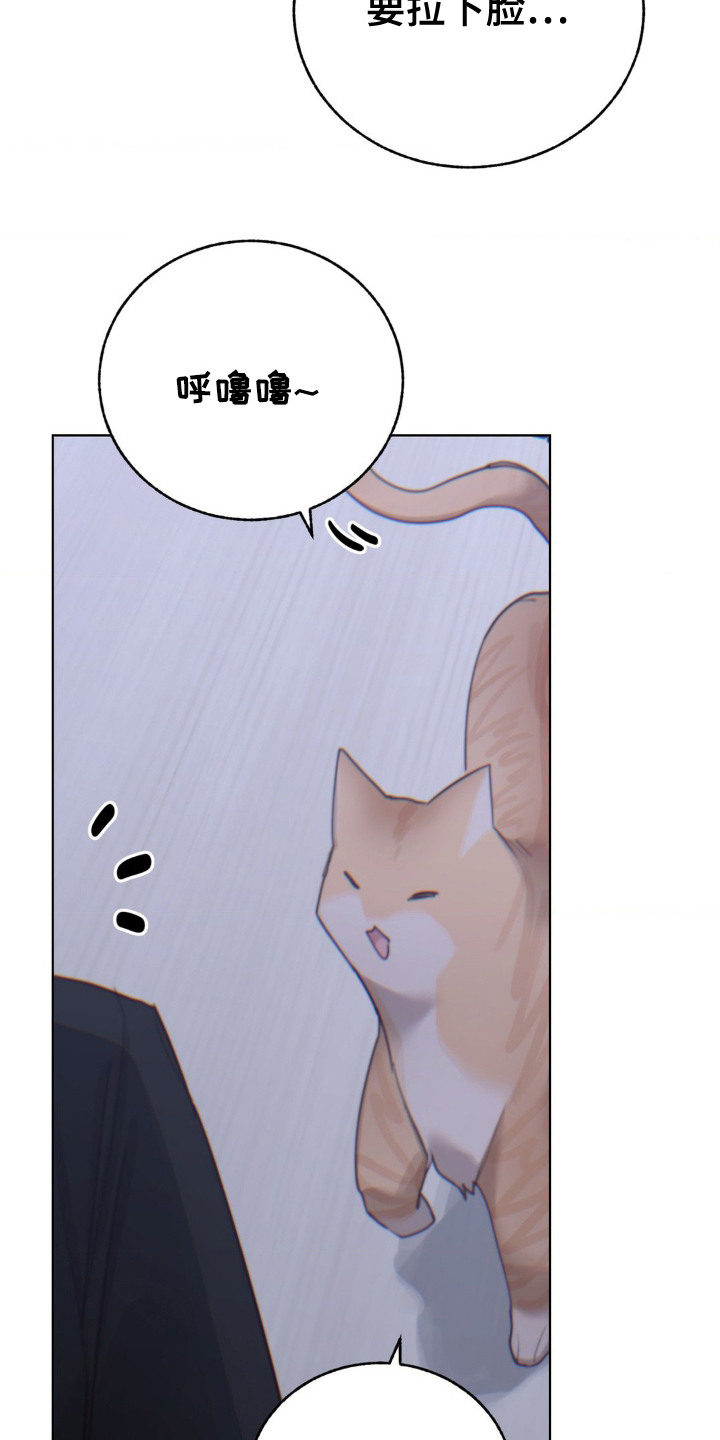 婚礼邂逅漫画,第19话1图