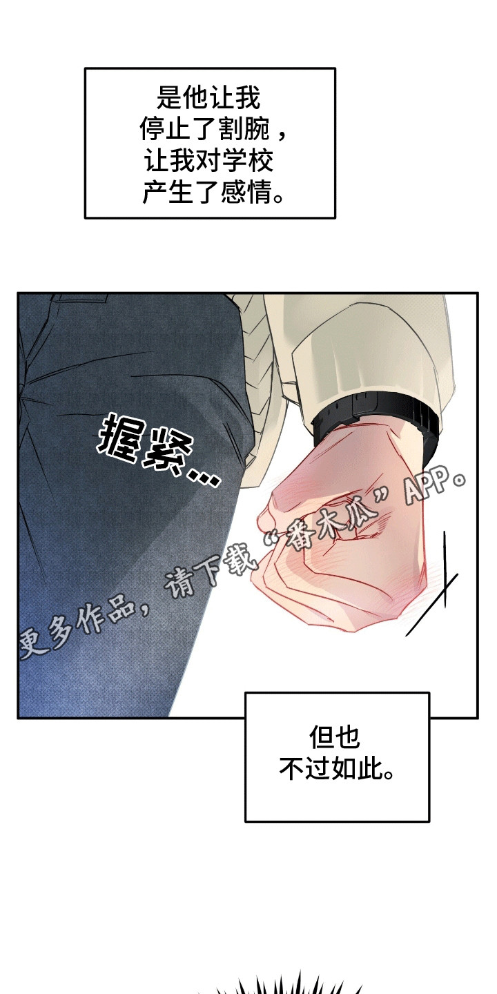 偏偏深爱你短剧大结局漫画,第3话1图