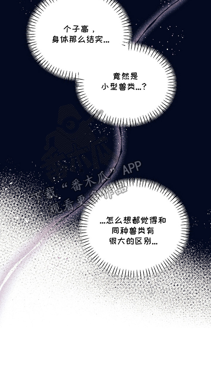 我的猛兽伴侣漫画,第5话1图