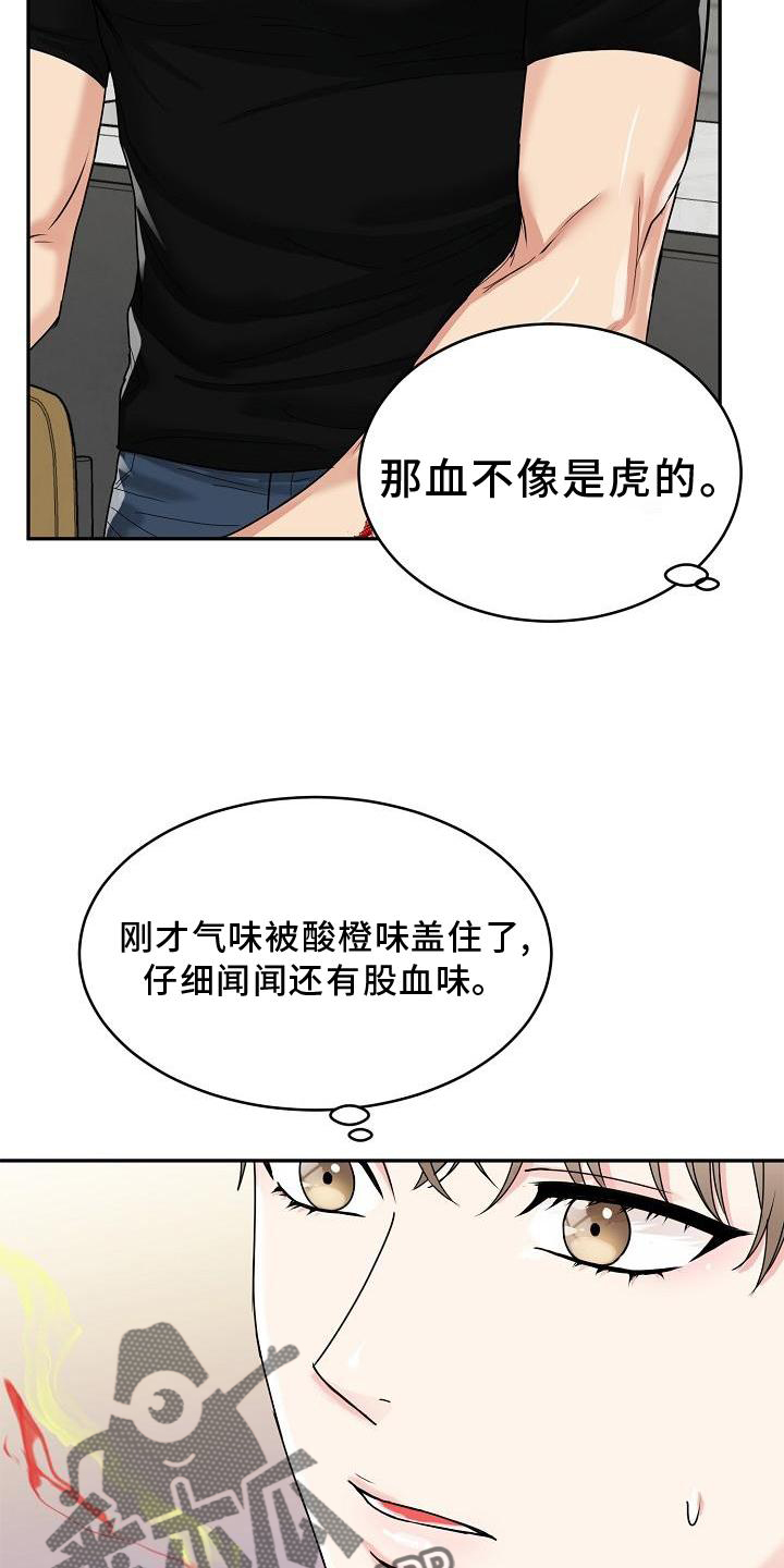 虎的孩子漫画免费观看漫画,第19话1图