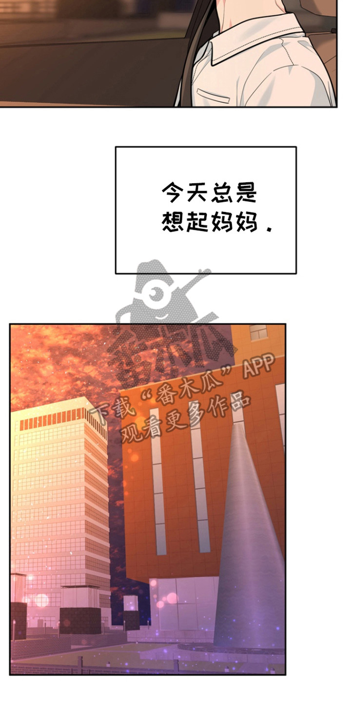 虎的孩子漫画免费完结漫画,第96话2图