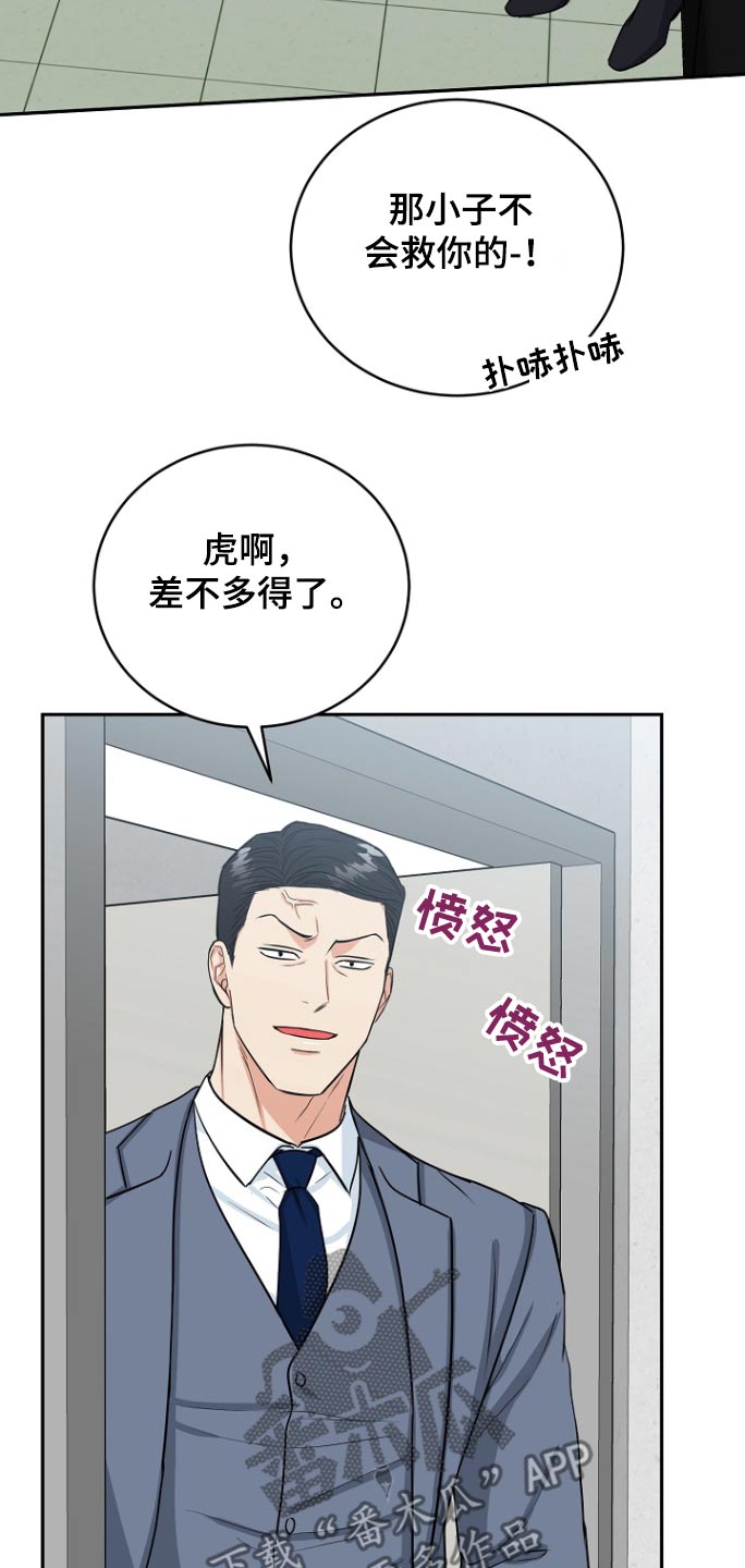 虎的最佳婚配属相漫画,第79话2图