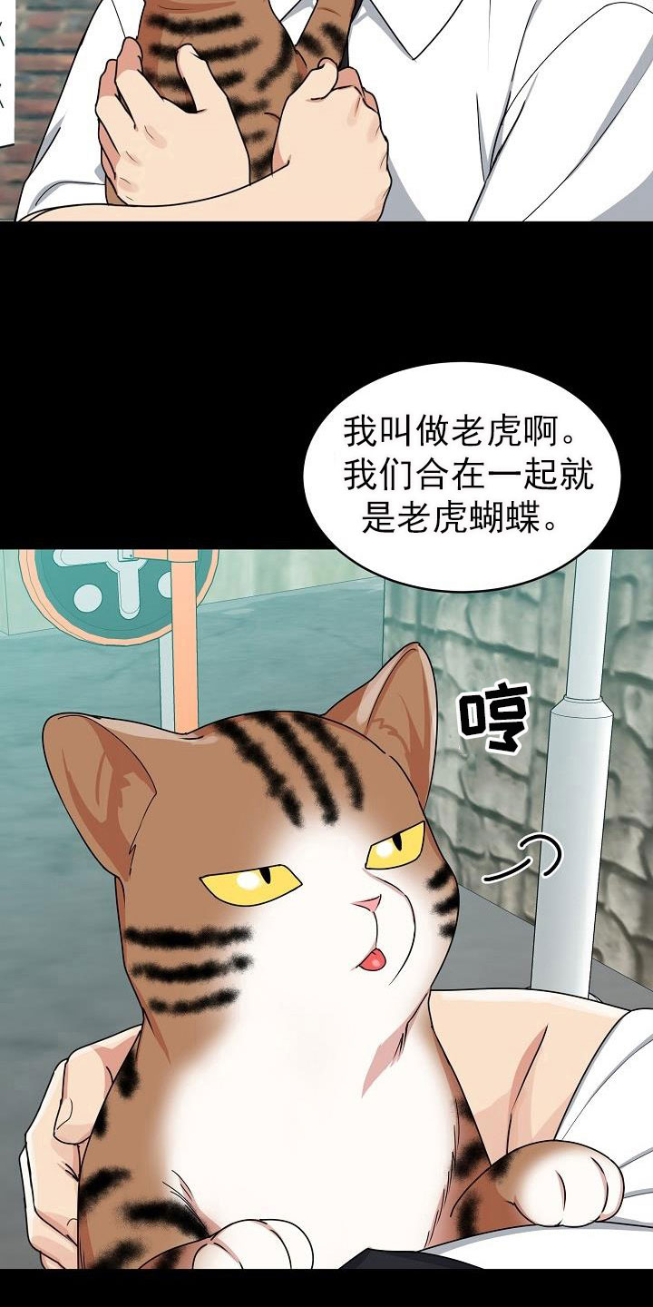 虎的词语漫画,第26话2图