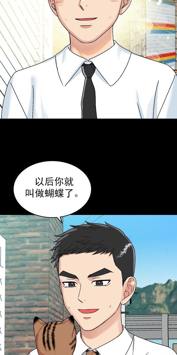 虎的词语漫画,第26话1图