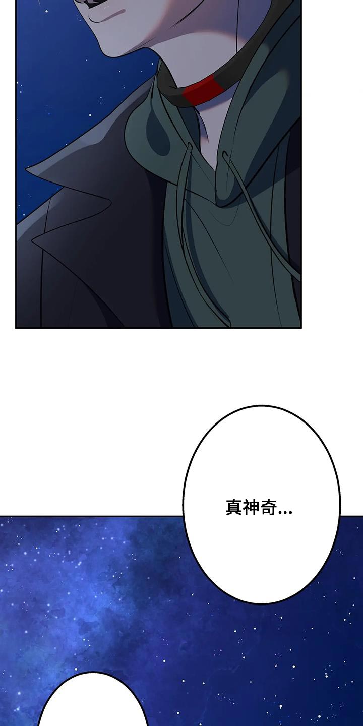 午夜哀嚎在哪看漫画,第49话2图