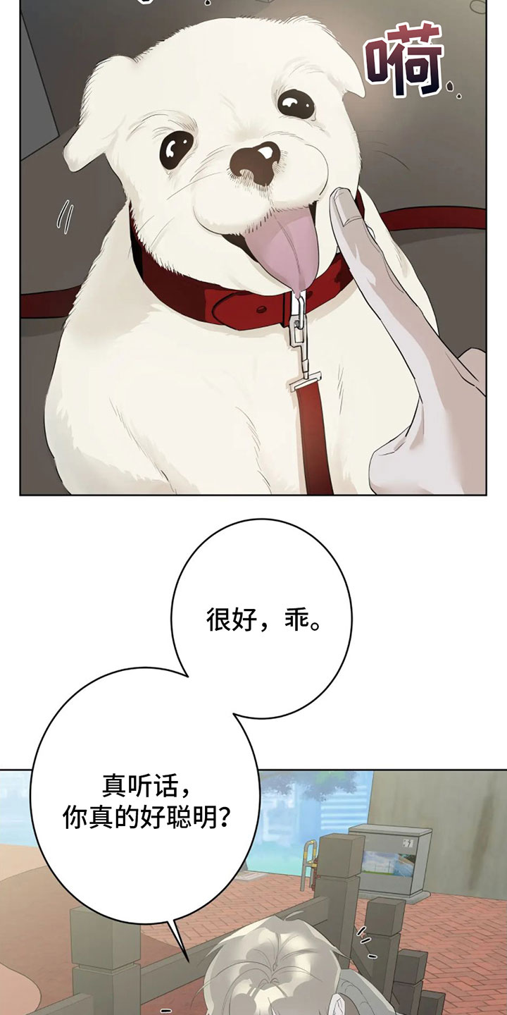 午夜嚎叫是啥意思漫画,第1话1图
