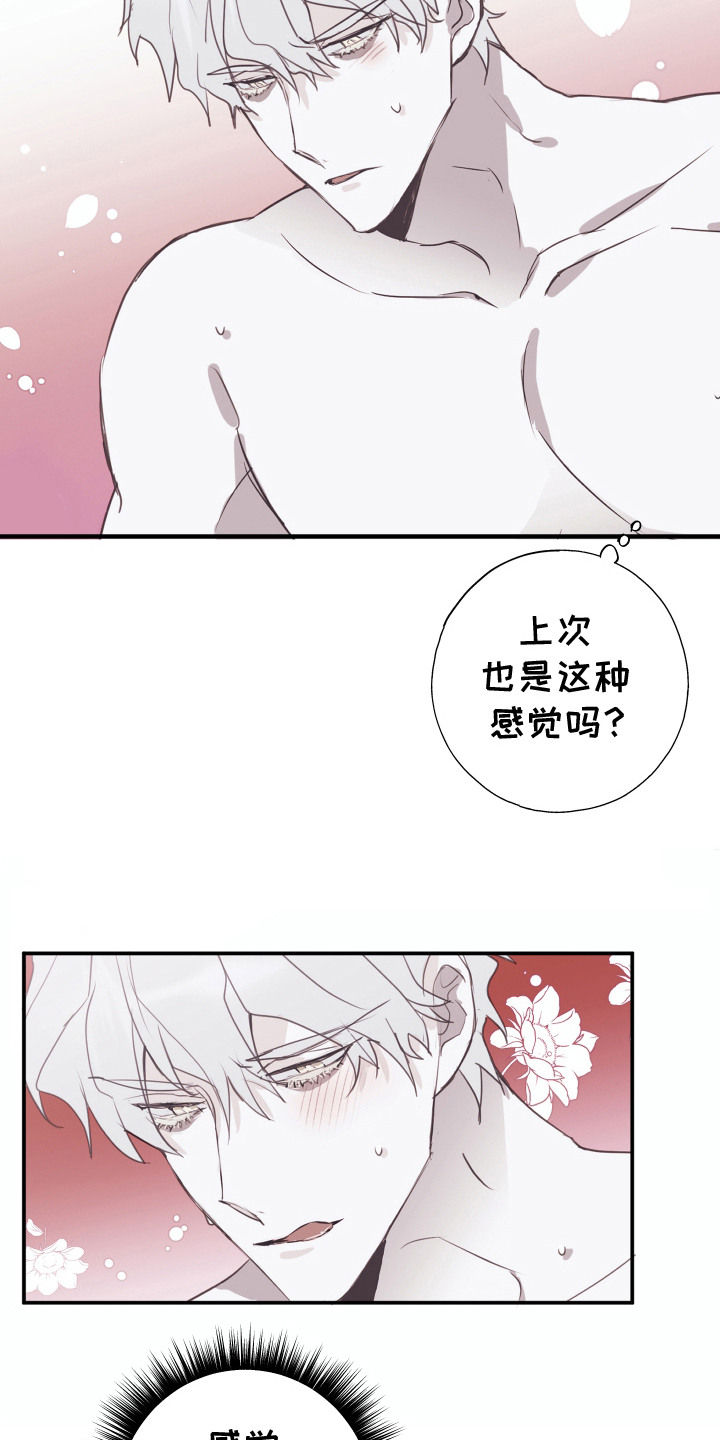 将错就错在线免费观看完整版漫画,第5话2图