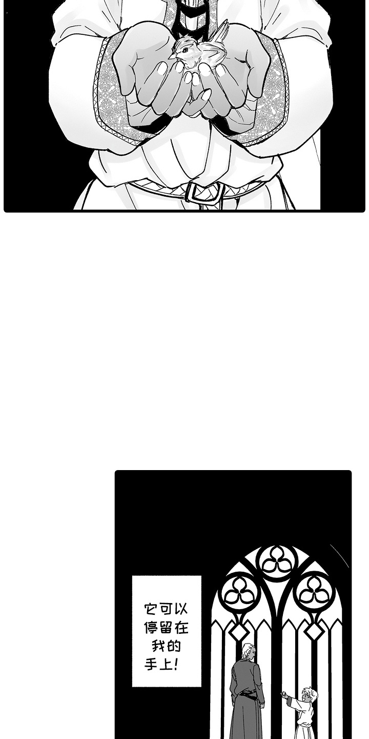 落难魔女原著小说叫什么名字漫画,第11话2图