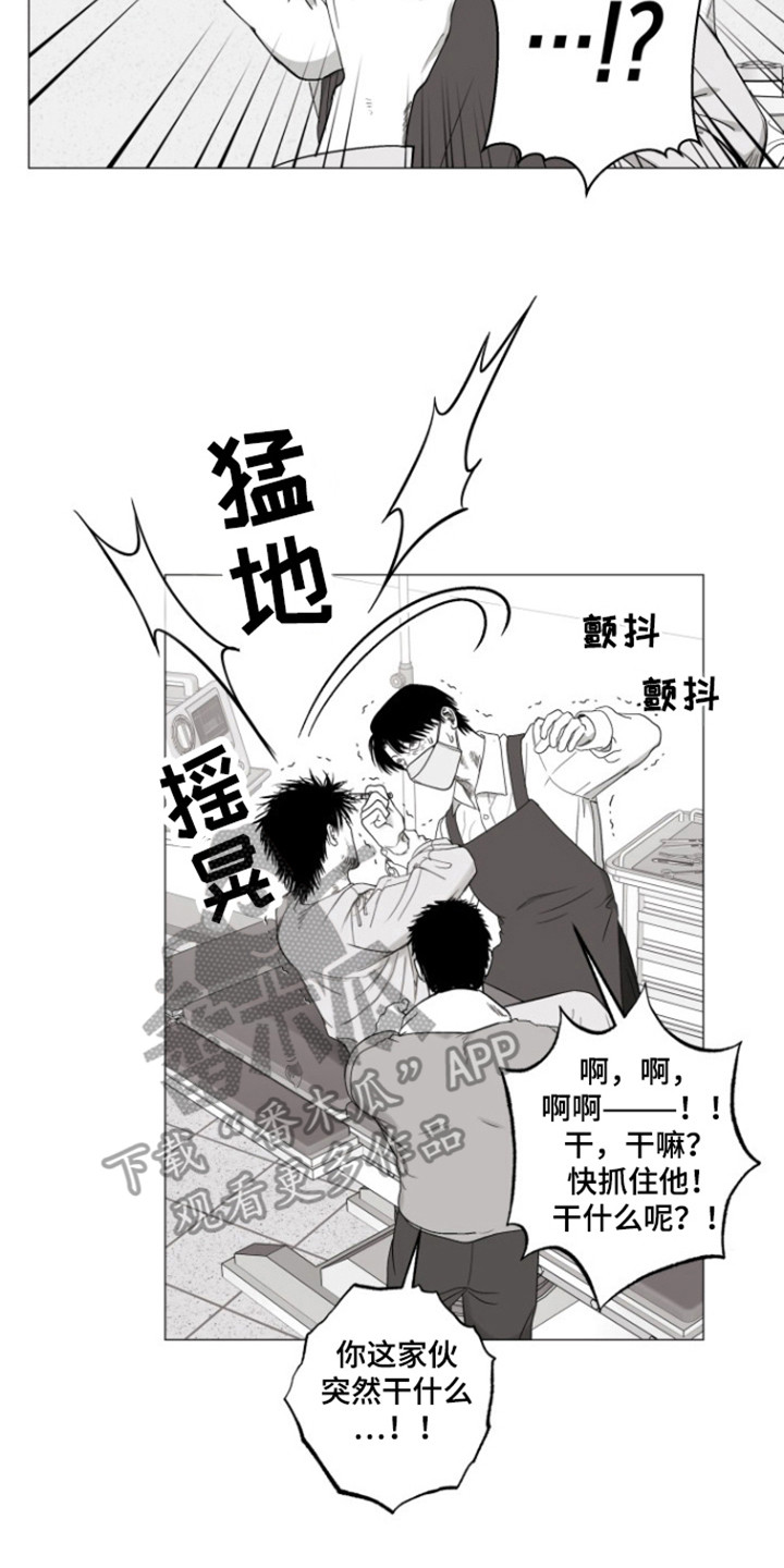 不屈的冠军漫画完整版在线观看免费漫画,第36话1图