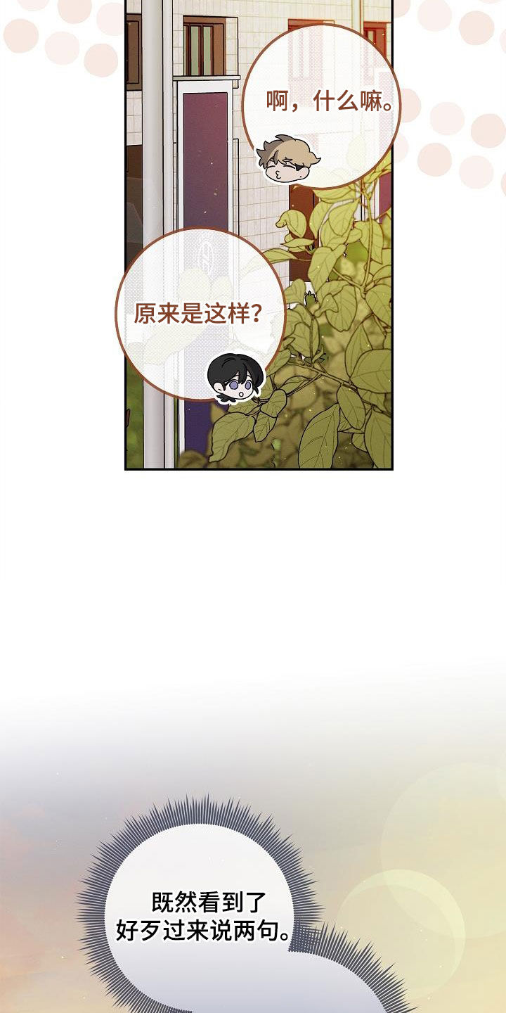 无痕之心最新全部章节在线阅读漫画,第31话1图