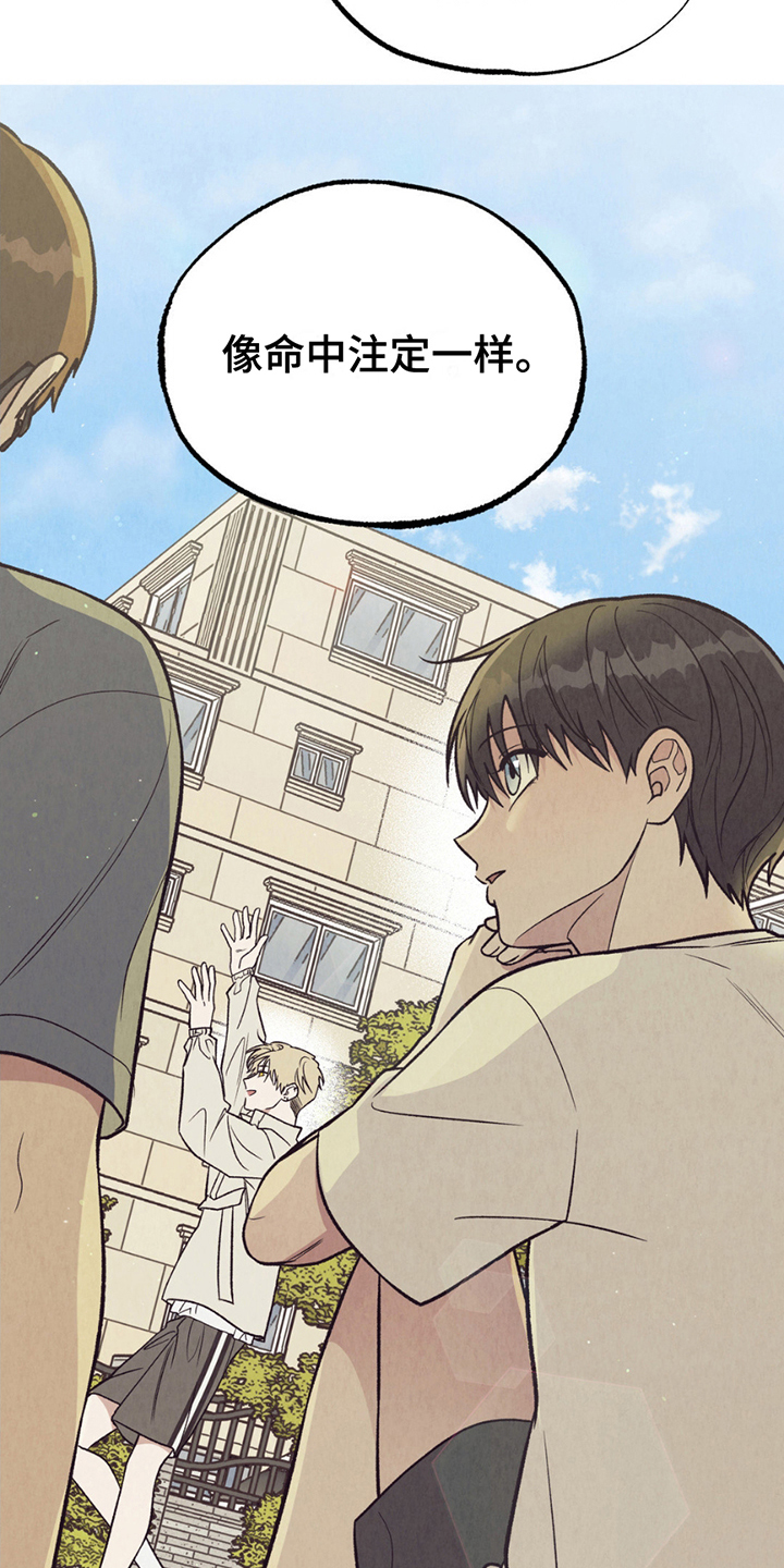 当我变成阿尔法漫画,第20话1图