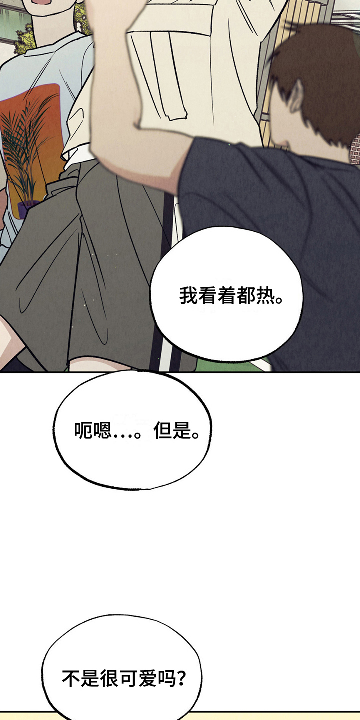 当我变成阿尔法漫画,第19话1图