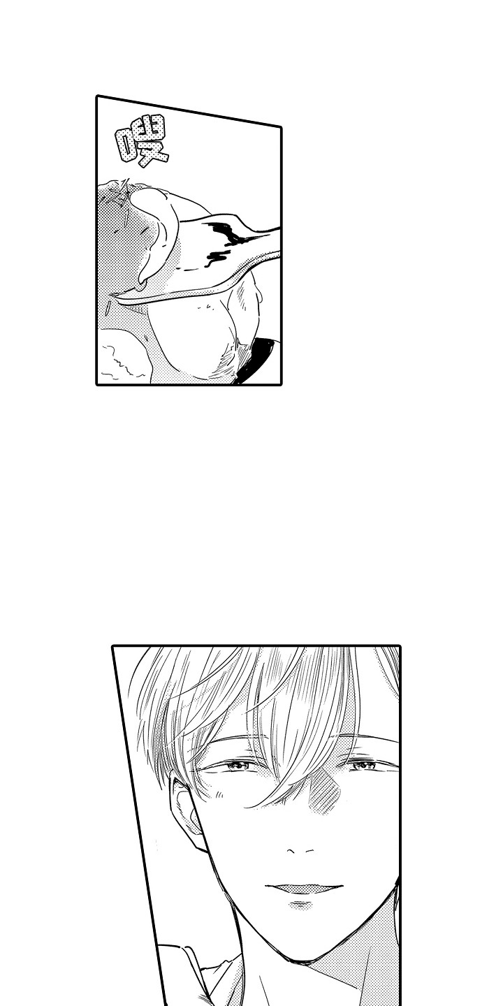 恋爱攻略电子文档漫画,第18话1图