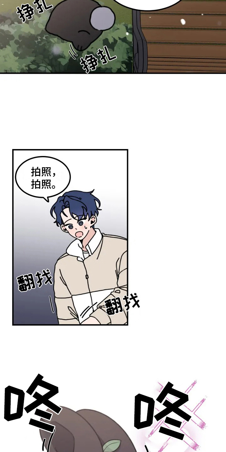 兔兔头像漫画,第1话2图