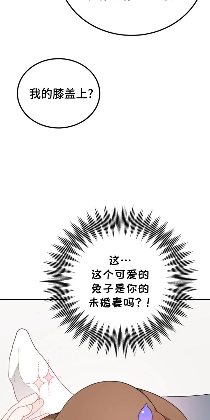 兔兔王子漫画,第34话1图
