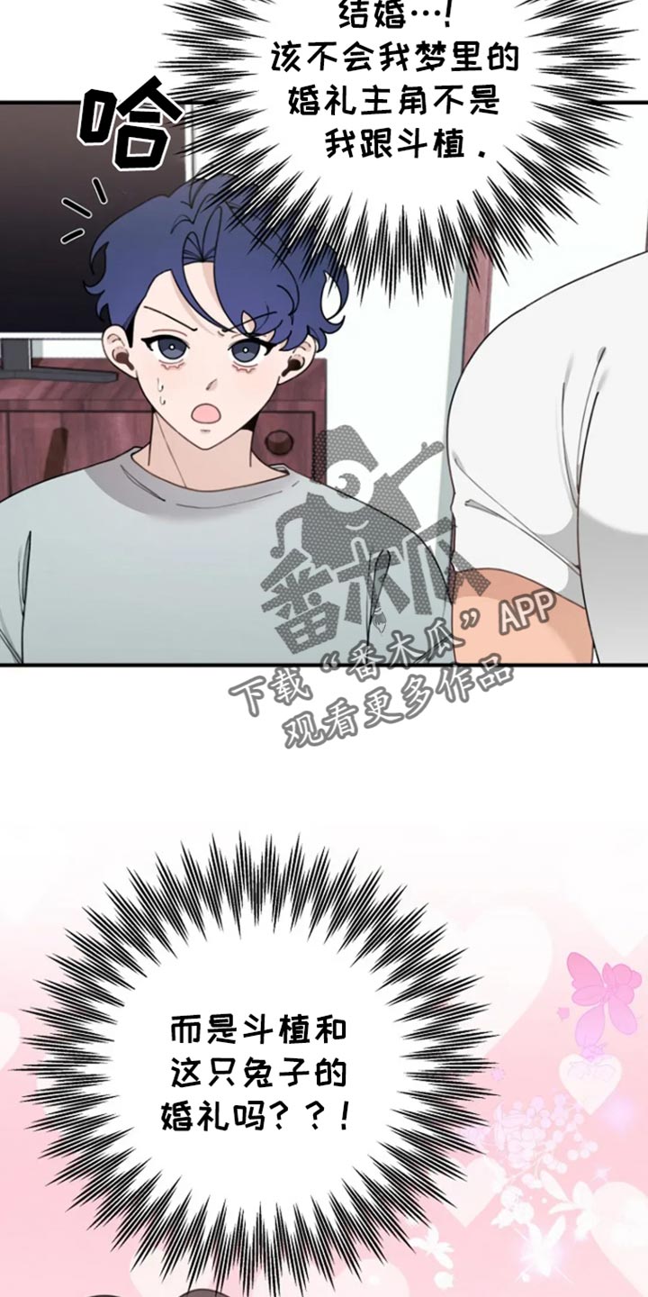 兔兔王子漫画,第35话2图