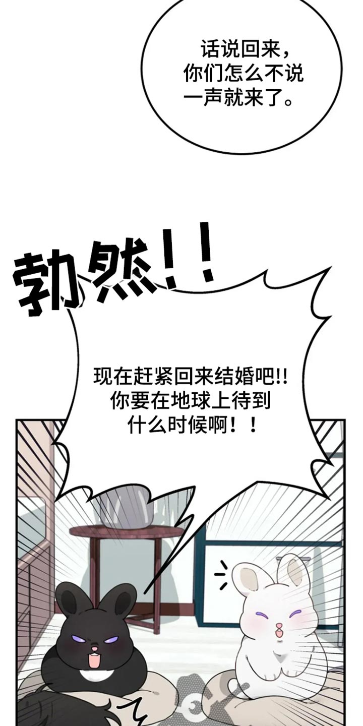 兔兔王子漫画,第34话2图