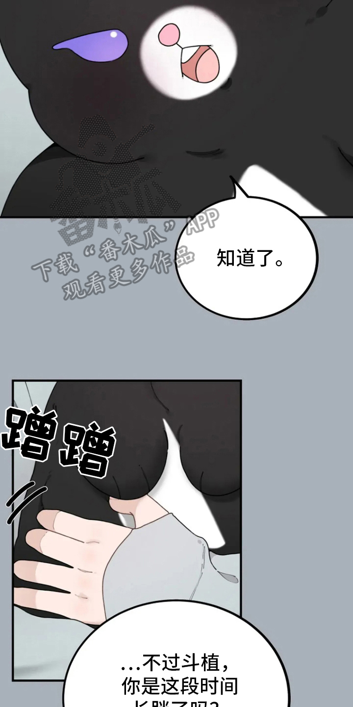 兔兔王妃免费完整版130漫画,第36话2图