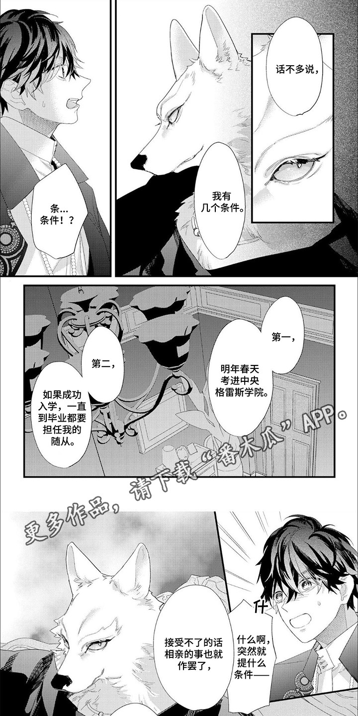 公爵的契约 漫画漫画,第4话1图