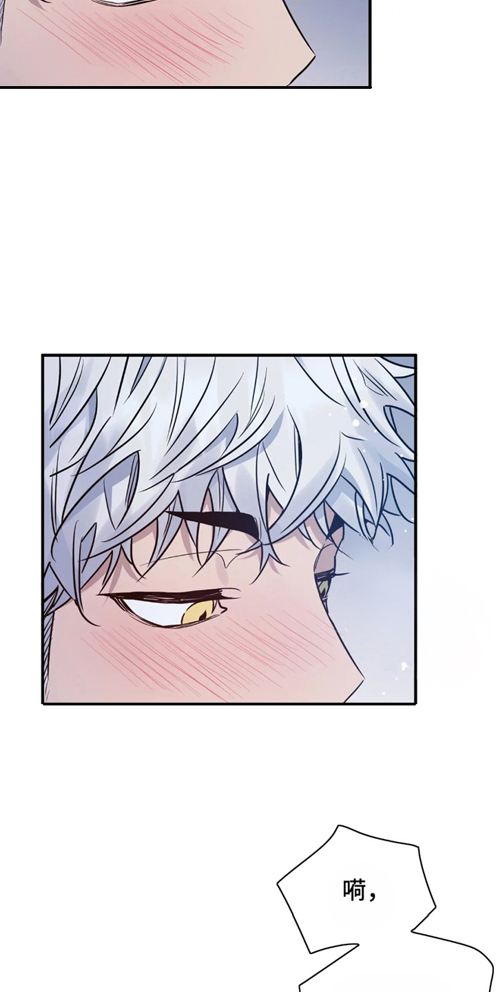 老虎观察日志漫画,第1话2图